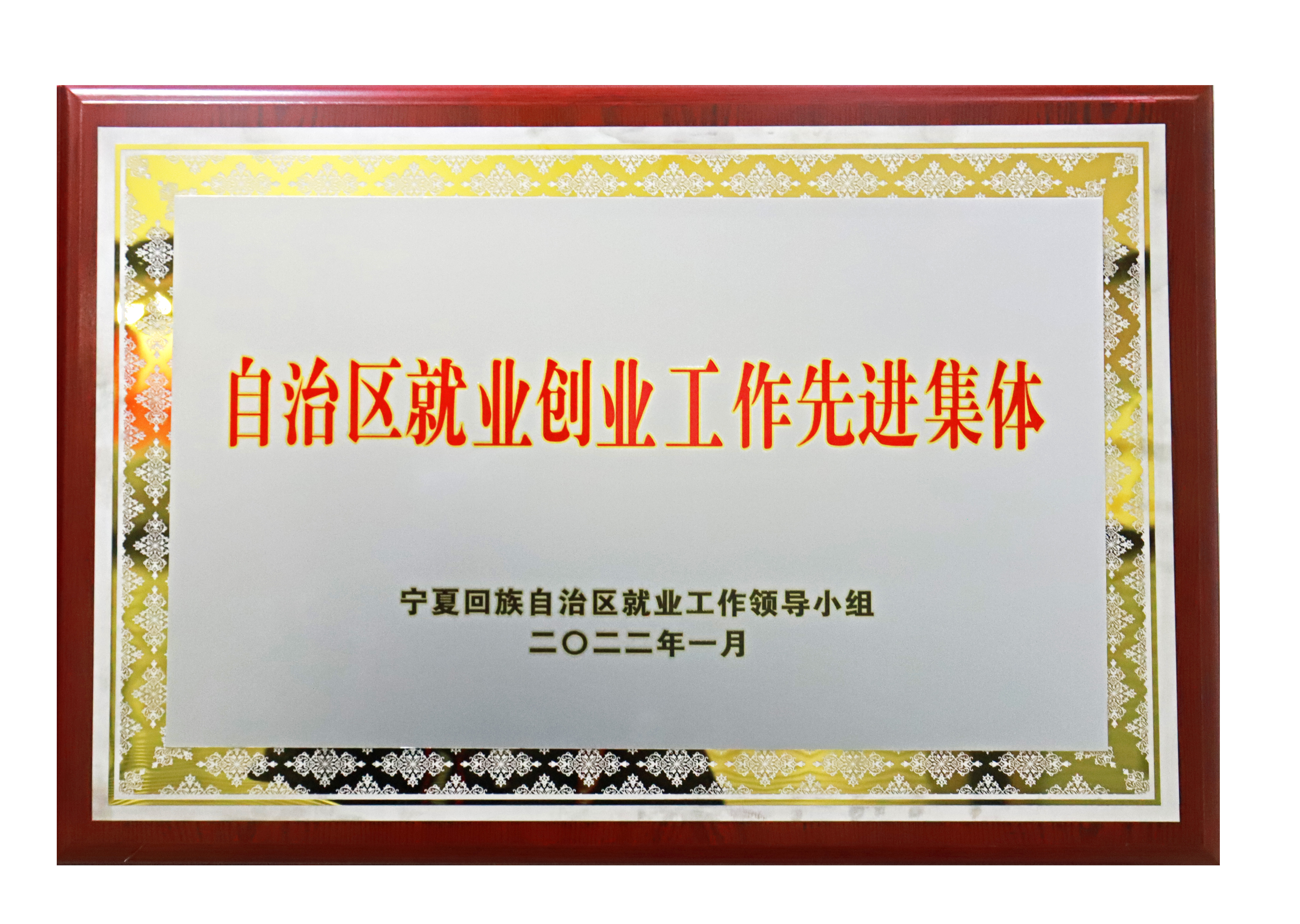 自治區(qū)就業(yè)創(chuàng)業(yè)工作先進(jìn)集